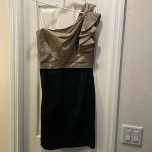 NWT SZ 6 champagne/black dress